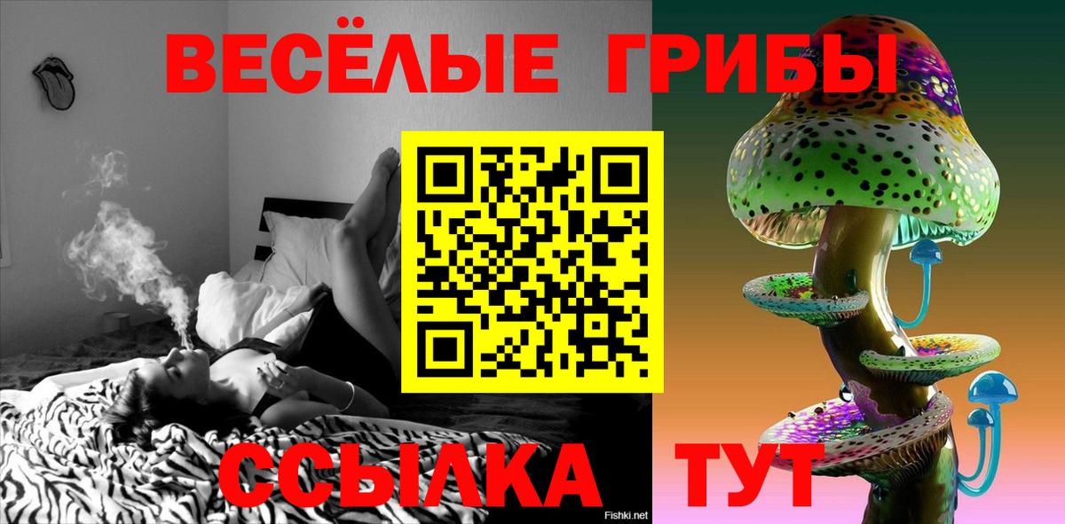 Гагарин  Псилоцибиновые грибы Psilocybine cubensis  Вход с VPN 