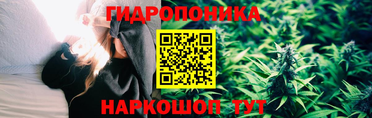 Марихуана план Гагарин